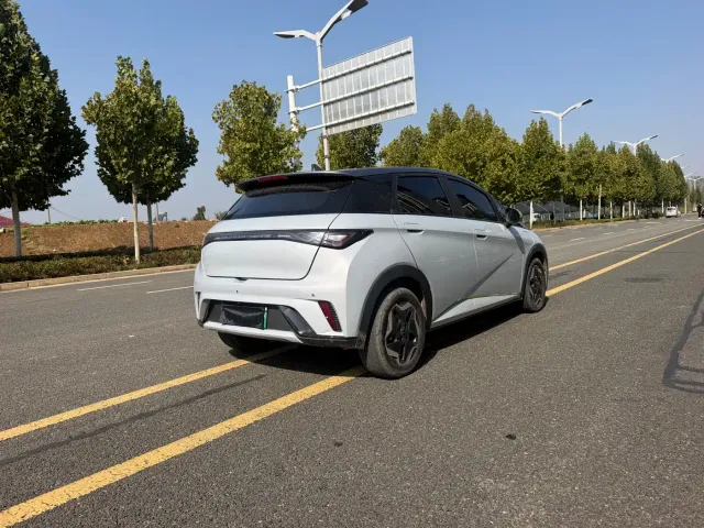 BYD Dolphin — Фото автомобиля 4