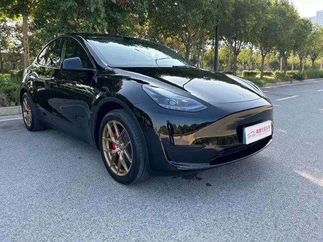 Tesla Model Y — Фото автомобиля 3