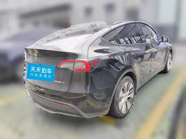 Tesla Model Y — Фото автомобиля 2