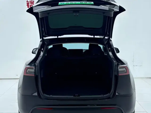 Tesla Model Y — Фото автомобиля 11