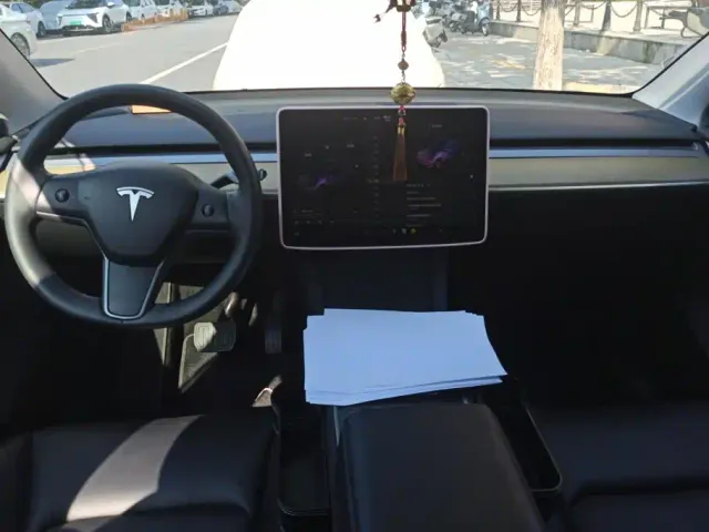 Tesla Model Y — Фото автомобиля 12