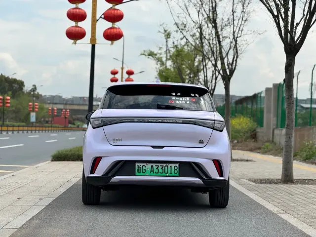BYD Dolphin — Фото автомобиля 6