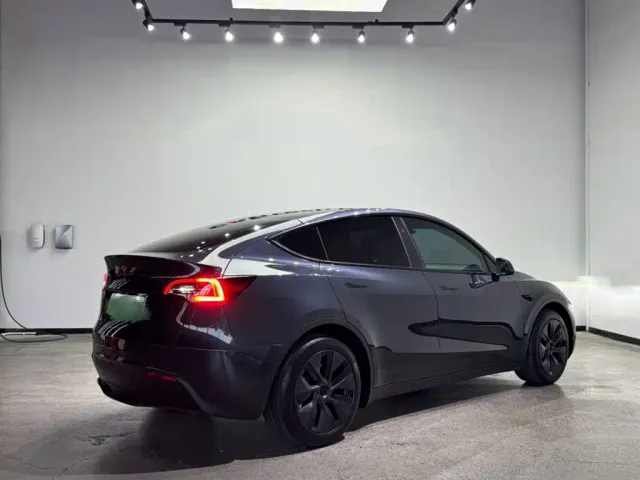 Tesla Model Y — Фото автомобиля 9