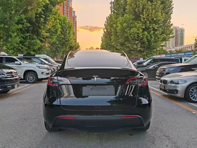 Tesla Model Y — Фото автомобиля 5