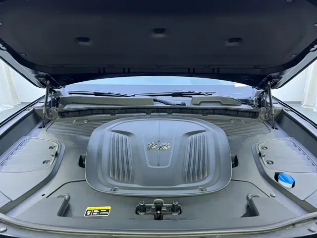 Hongqi E-HS9 — Фото автомобиля 30