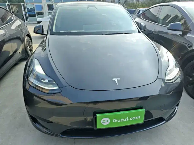Tesla Model Y — Фото автомобиля 2