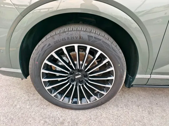 Wey Lanshan — Фото автомобиля 19