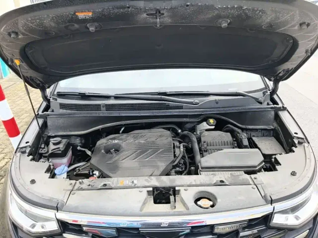 Hyundai Custo — Фото автомобиля 19