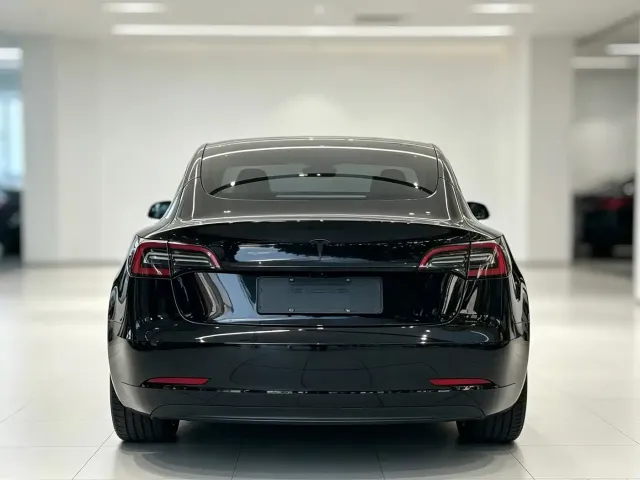 Tesla Model 3 — Фото автомобиля 8