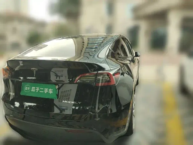 Tesla Model Y — Фото автомобиля 3