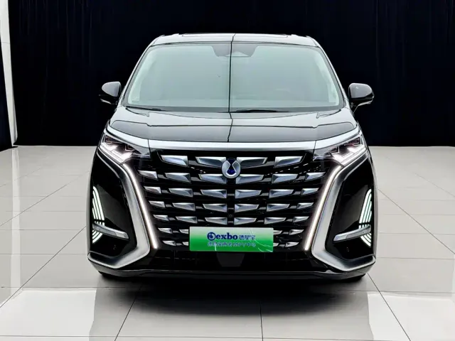 Denza D9 — Фото автомобиля 2