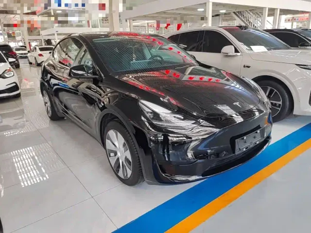 Tesla Model Y — Фото автомобиля 3