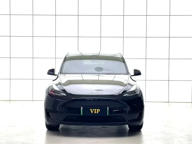 Tesla Model Y 2021 Standard Range Rear-Wheel Drive — Фото автомобиля 3
