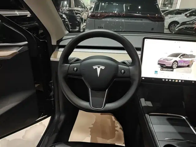 Tesla Model Y — Фото автомобиля 10