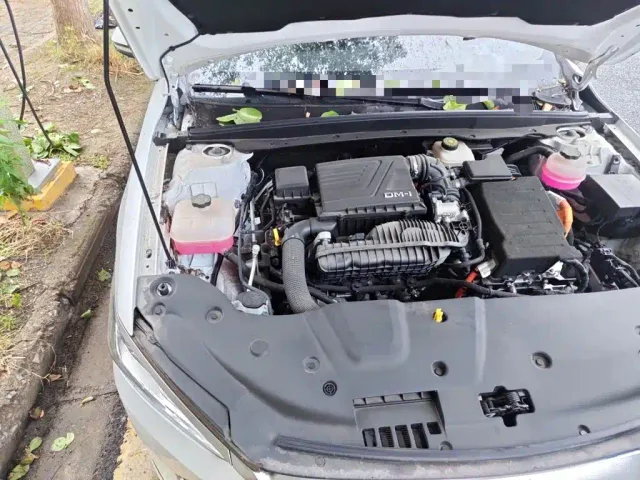 BYD Qin PLUS — Фото автомобиля 21