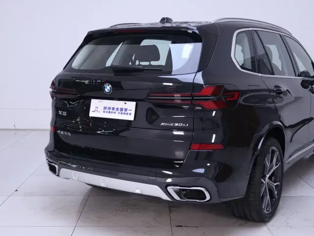 BMW X5 — Фото автомобиля 8