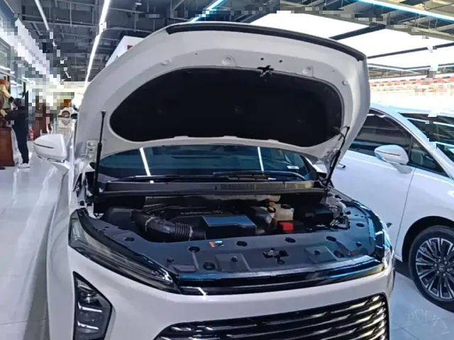 Buick GL8 — Фото автомобиля 19