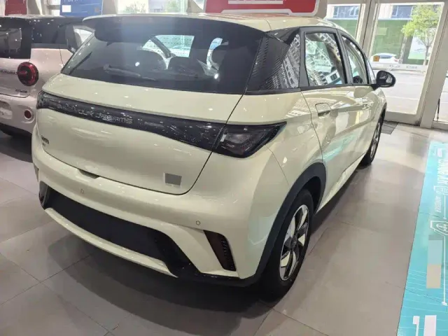 BYD Dolphin — Фото автомобиля 6
