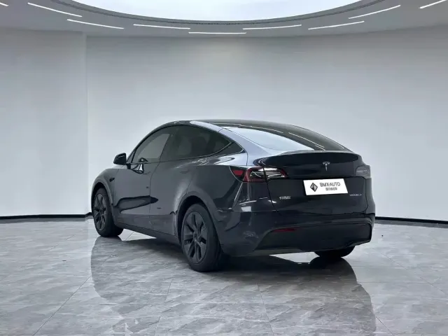 Tesla Model Y — Фото автомобиля 8