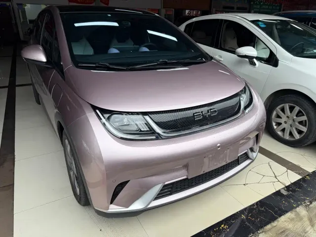 BYD Dolphin — Фото автомобиля 2