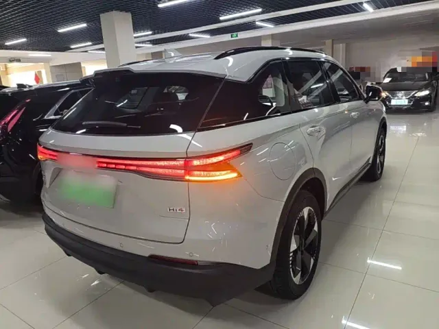 Haval Xiaolong MAX — Фото автомобиля 6
