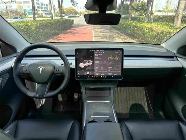 Tesla Model Y — Фото автомобиля 9