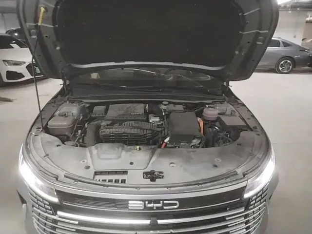 BYD Destroyer 05 2024 Glory Edition DM-i 55KM Luxury — Фото автомобиля 23