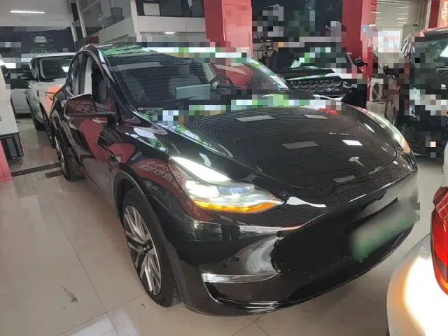 Tesla Model Y — Фото автомобиля 3