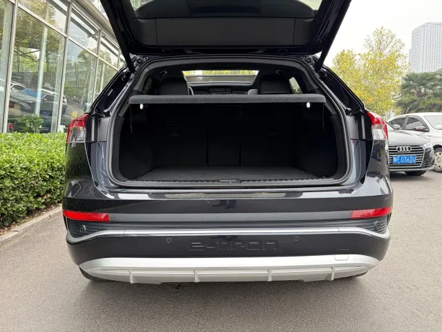 Audi Q4 e-tron — Фото автомобиля 11