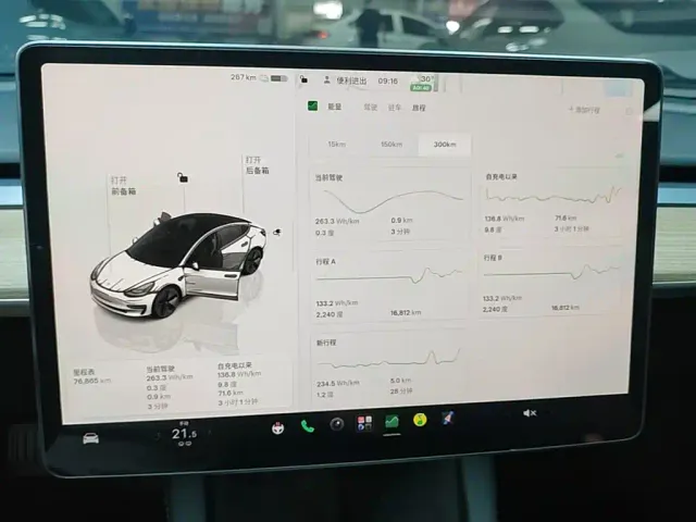 Tesla Model 3 — Фото автомобиля 11