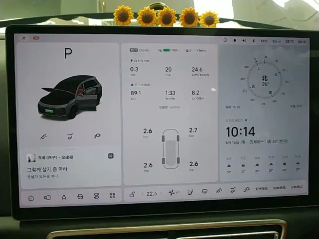 Li Auto L8 — Фото автомобиля 11