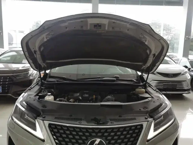 Lexus RX — Фото автомобиля 19