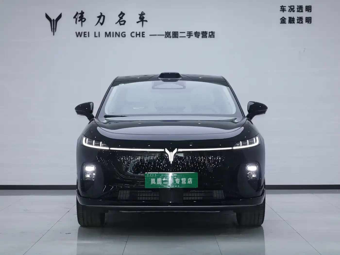 Voyah Auto Voyah Zhiyin 2025 Base — Фото автомобиля 2