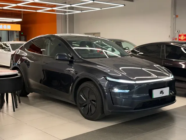 Tesla Model Y — Фото автомобиля 3