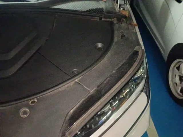 BYD Song PLUS — Фото автомобиля 21