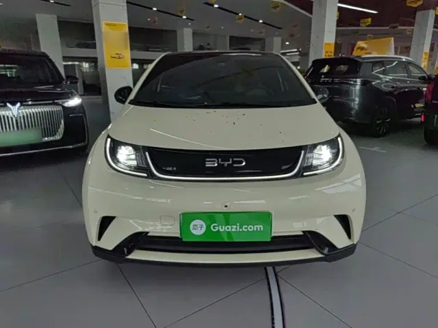 BYD Dolphin — Фото автомобиля 2