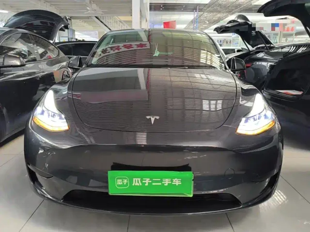 Tesla Model Y — Фото автомобиля 2