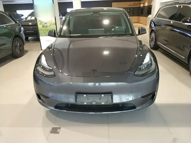 Tesla Model Y — Фото автомобиля 2