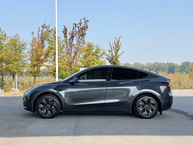 Tesla Model Y — Фото автомобиля 4