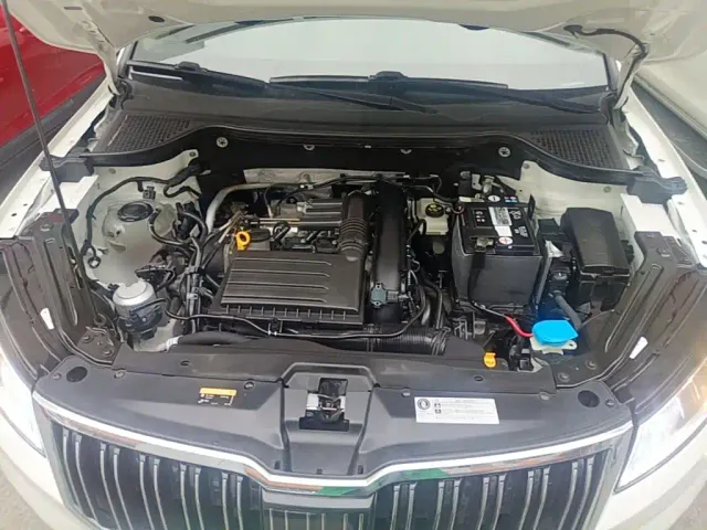 Skoda Karoq — Фото автомобиля 19