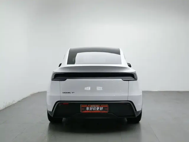 Tesla Model Y — Фото автомобиля 4