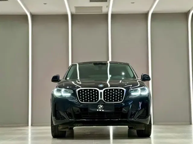 BMW X4 — Фото автомобиля 2