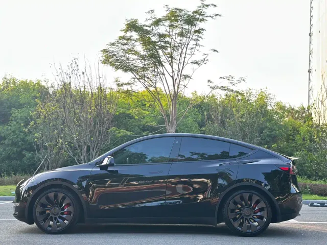 Tesla Model Y — Фото автомобиля 5
