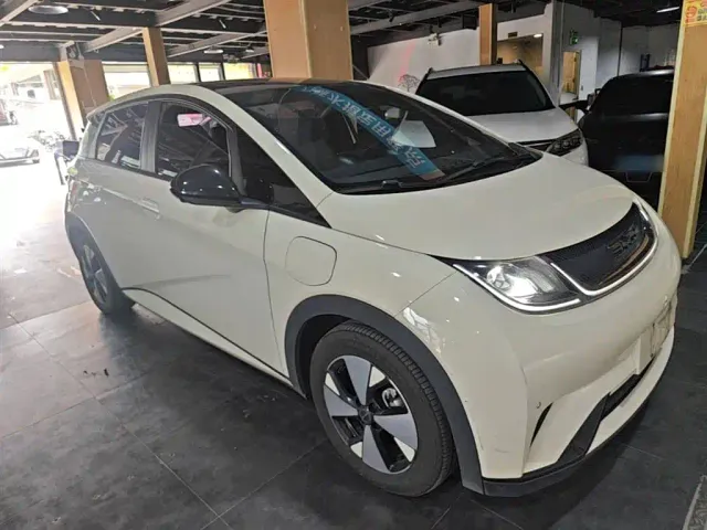 BYD Dolphin — Фото автомобиля 3