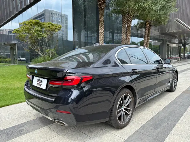 BMW 5 Series — Фото автомобиля 6