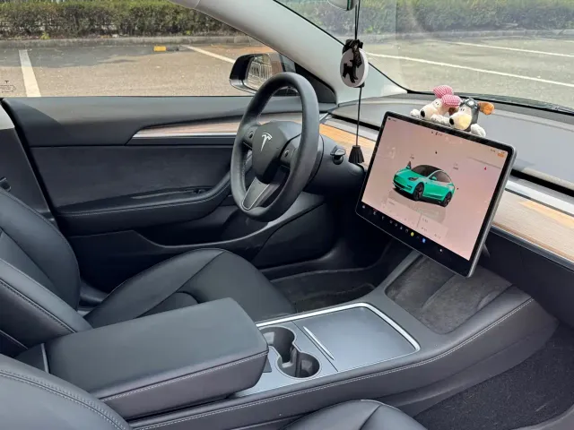 Tesla Model 3 2022 Model Rear-Wheel Drive Version — Фото автомобиля 5