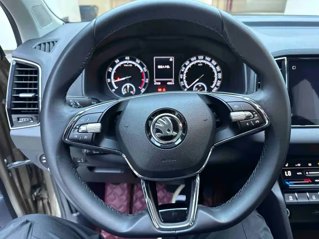Skoda Karoq — Фото автомобиля 12