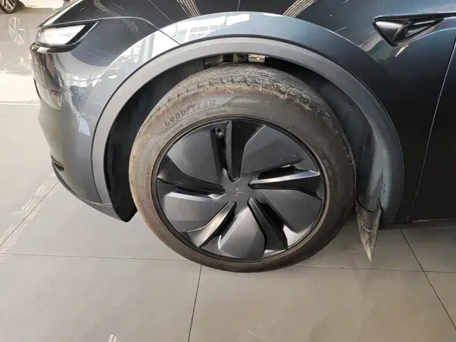 Tesla Model Y — Фото автомобиля 22