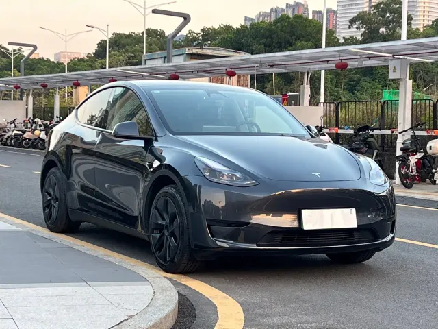 Tesla Model Y — Фото автомобиля 3
