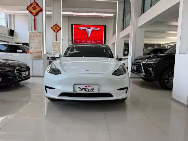 Tesla Model Y — Фото автомобиля 2